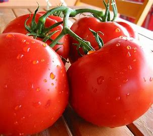 Tomatoes